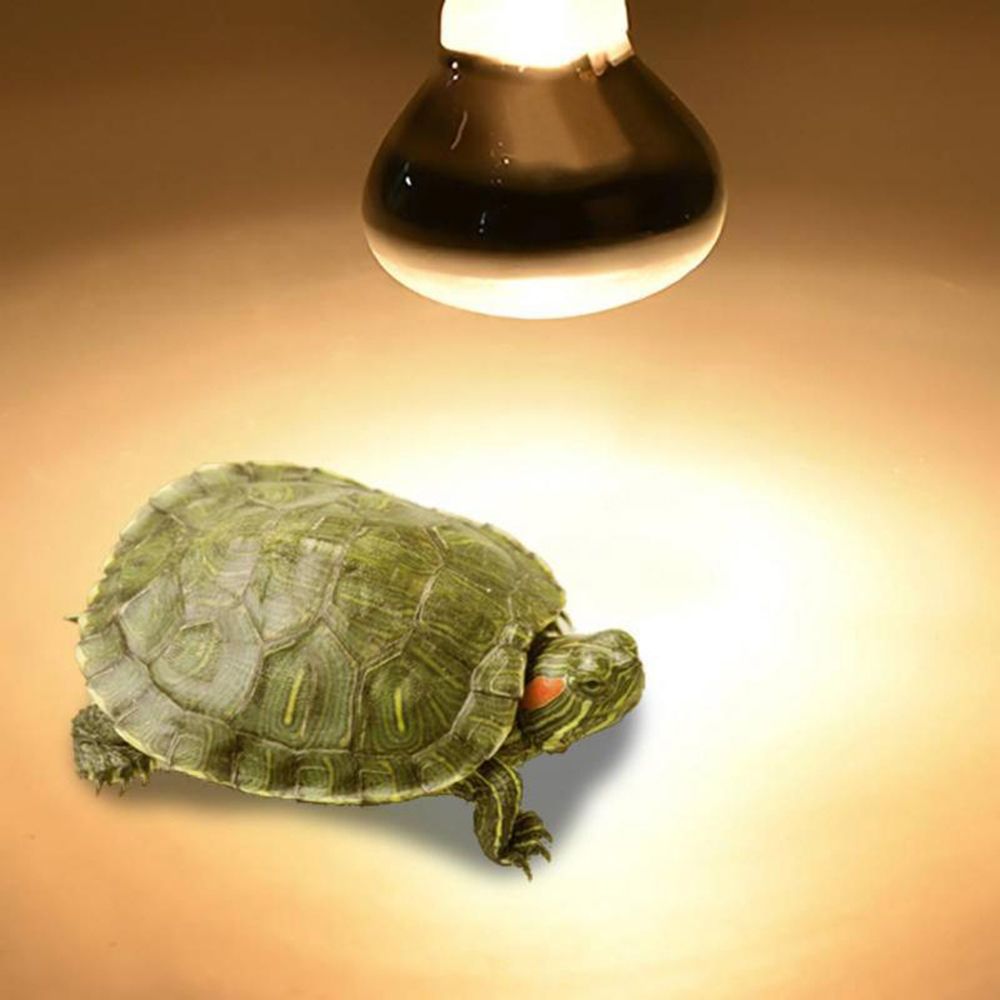 Basking Bulb Halogen - Kertenkele Isıtıcı Lambası UVA Işığı Sürüngen