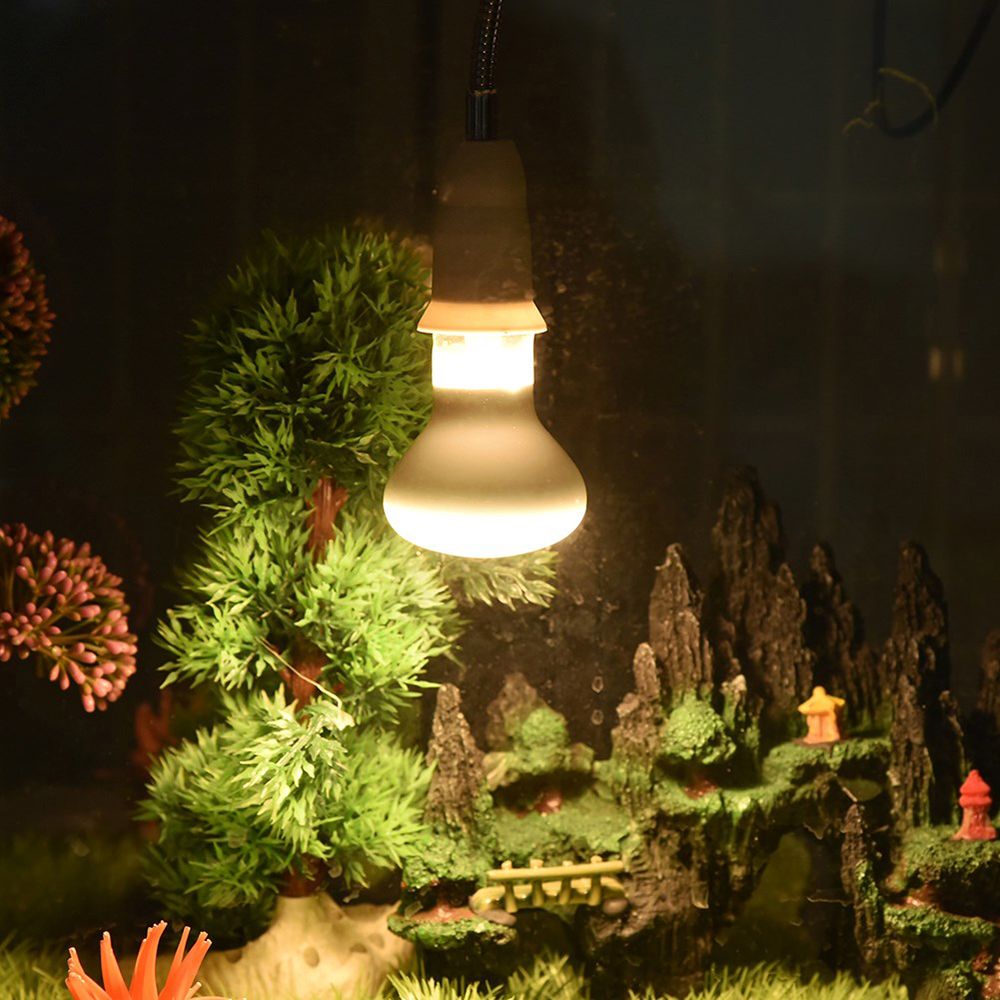 Basking Bulb Halogen - Amfibiler için Isıtıcı Isı Lambası UVA