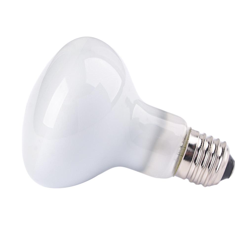 Basking Bulb Halogen - Amfibiler Sıcaklık Kontrol Cihazı Isıtma Lambası
