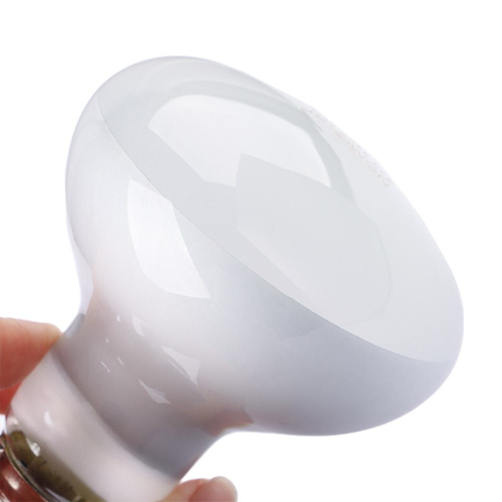 Basking Bulb Halogen - Kaplumbağa Isıtıcı Sıcaklık Kontrol Cihazı Güneşlenme