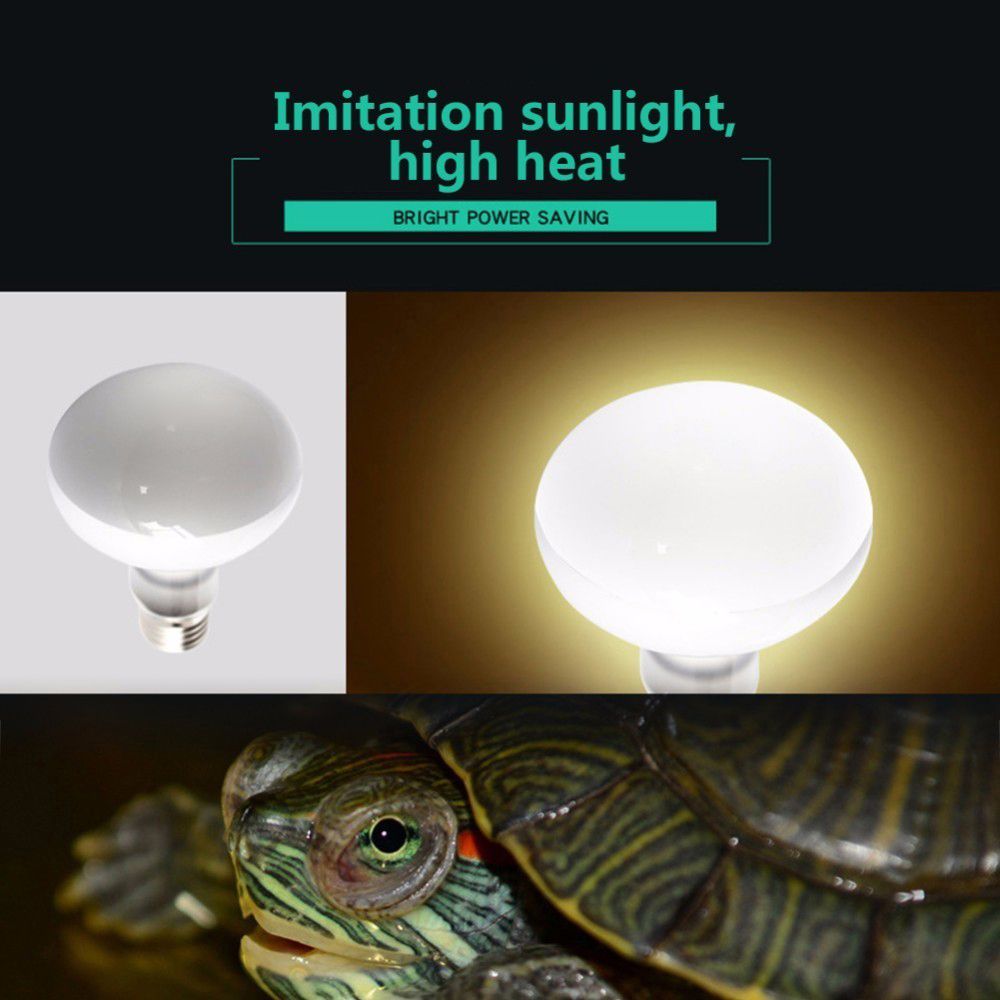 Basking Bulb Halogen - Kaplumbağa Isıtıcı Sıcaklık Kontrol Cihazı Sürüngen