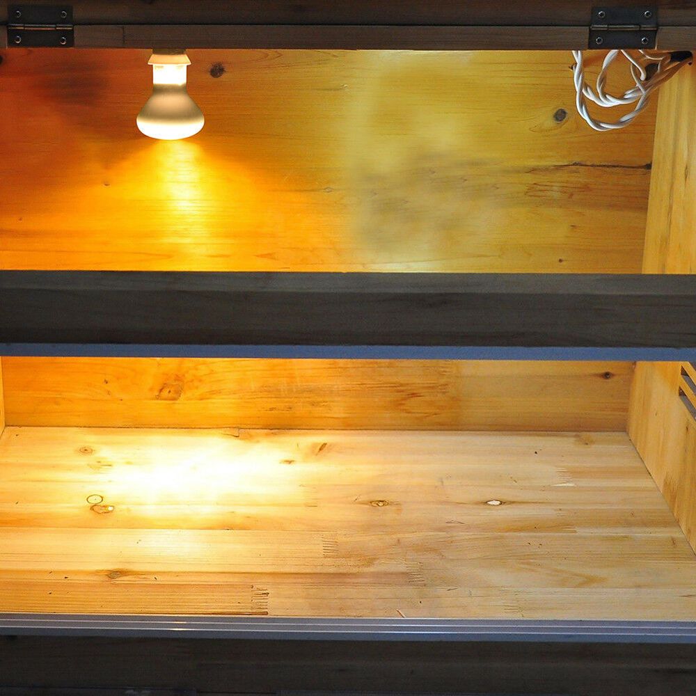 Basking Bulb Halogen - Kertenkele Isıtıcı Sıcaklık Kontrol Cihazı Güneşlenme
