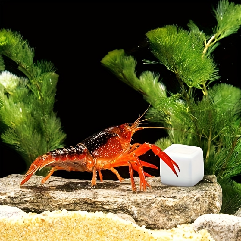 Calcium Powder Reptile - 6 Adet Balık Tankı Kalsiyum Bloğu