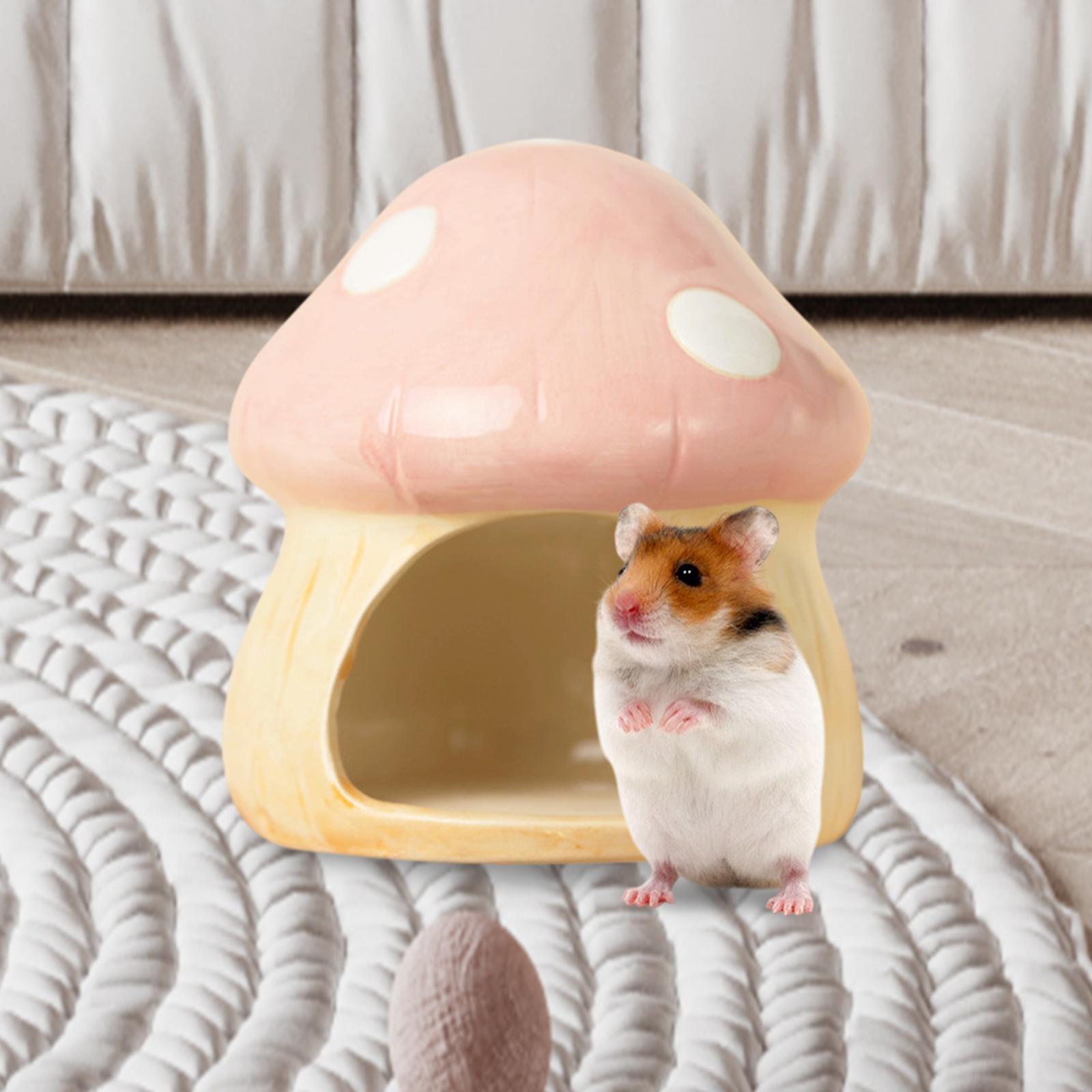 Hide Cave Ceramic - Seramik Mantar Hamster Hideout Hamster Mağara