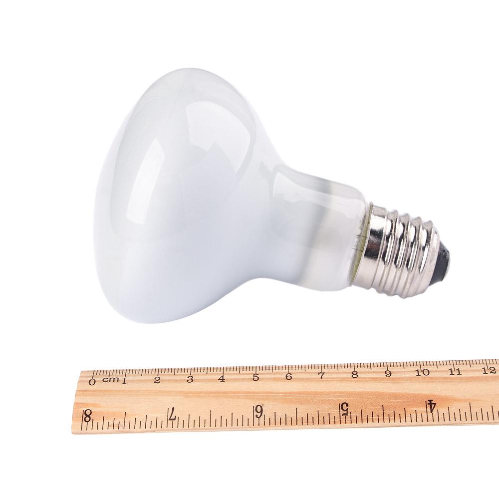 Kertenkele Isıtıcı Lambası UVA - Basking Bulb Halogen incelemesi ve fiyatı