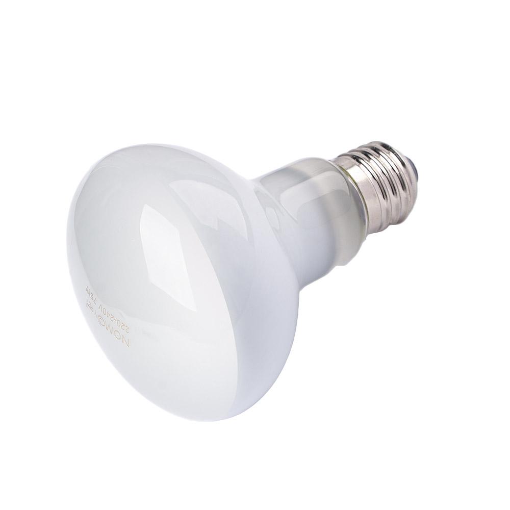 Kertenkele Isıtıcı Sıcaklık Ko - Basking Bulb Halogen incelemesi ve fiyatı