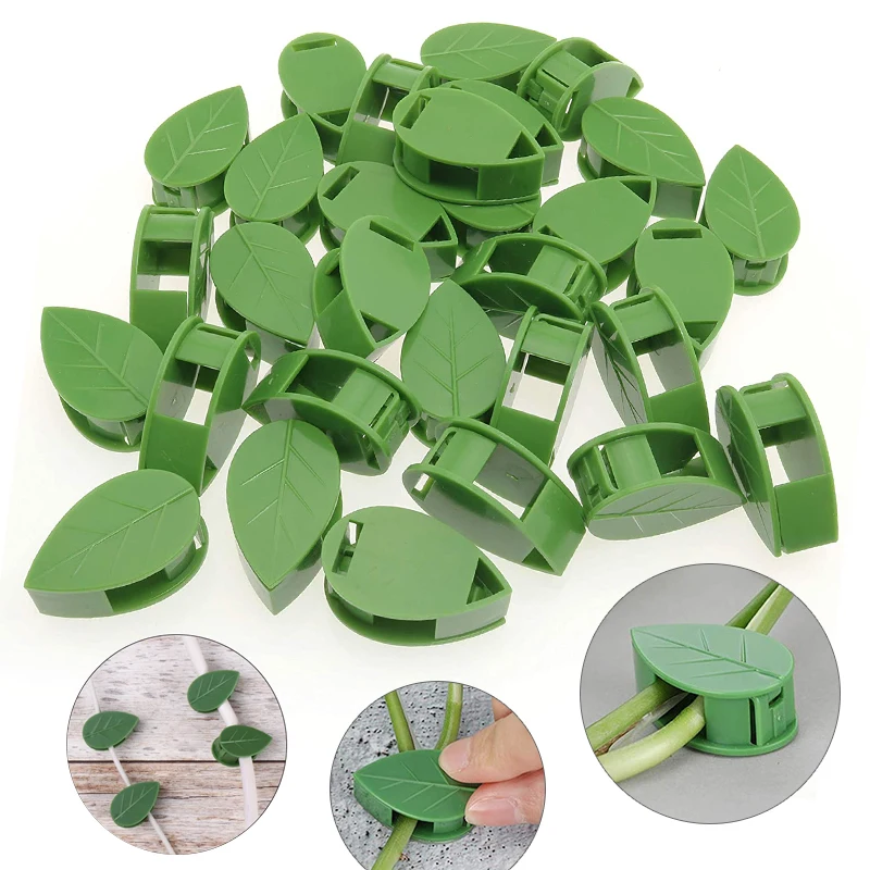 1-50 adet görünmez bitki duvar - Vine Climbing Plastic incelemesi ve fiyatı