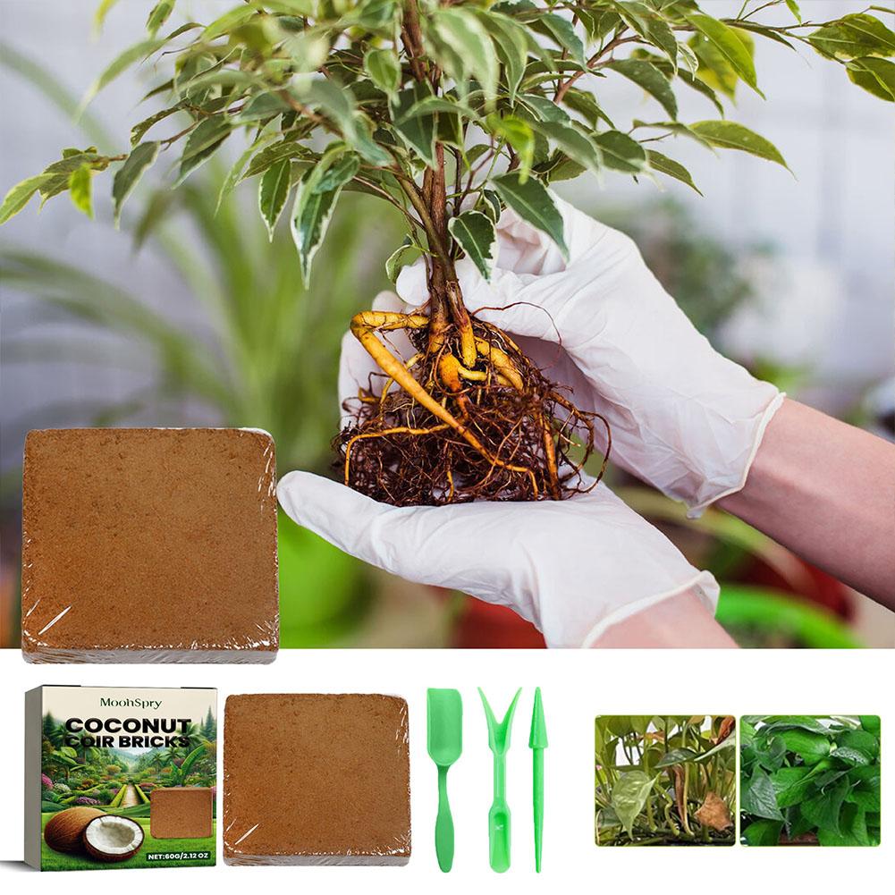 Sürüngen Hindistan Cevizi Topr - Substrate Coconut Fiber incelemesi ve fiyatı