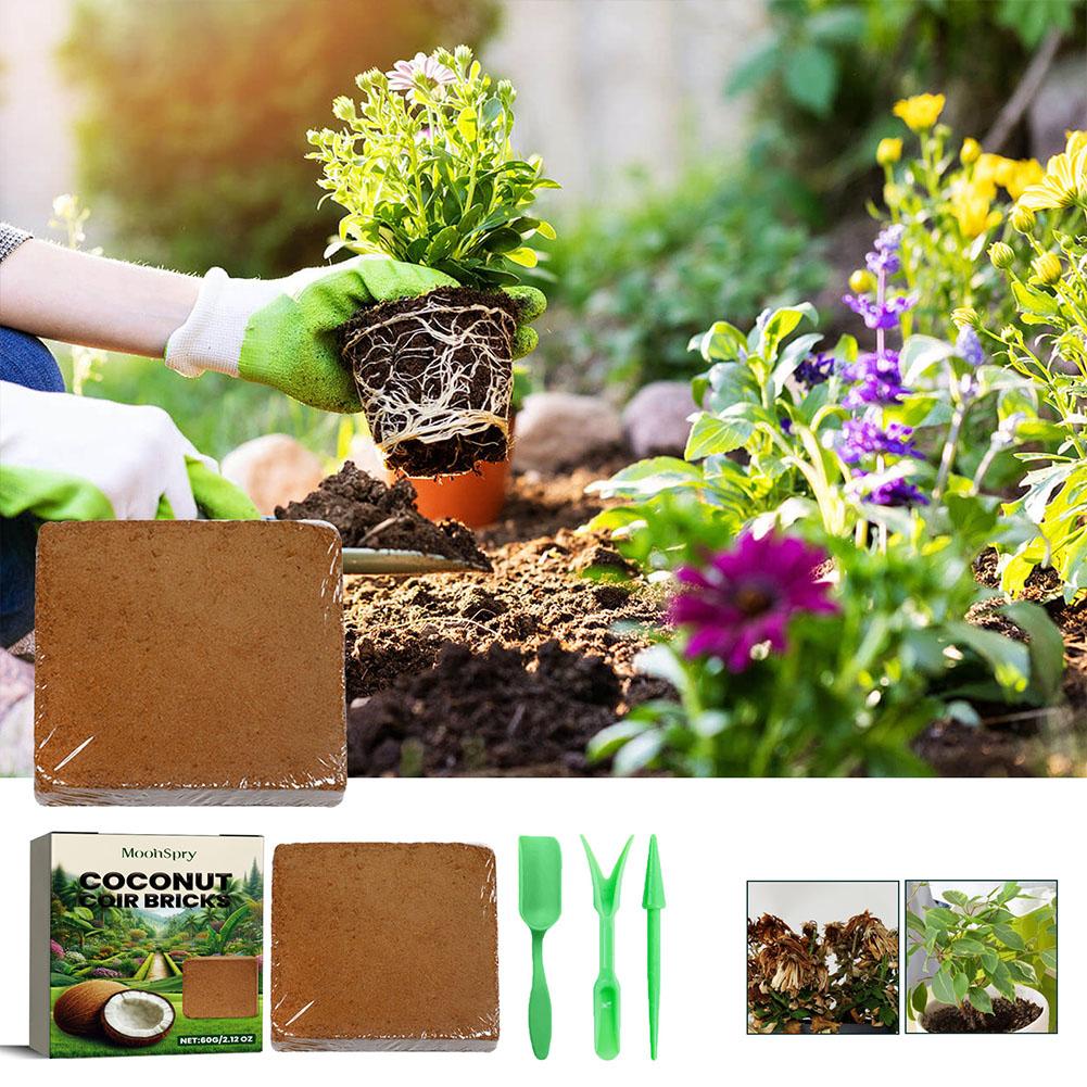 Sürüngen Hindistan Cevizi Topr - Substrate Coconut Fiber incelemesi ve fiyatı