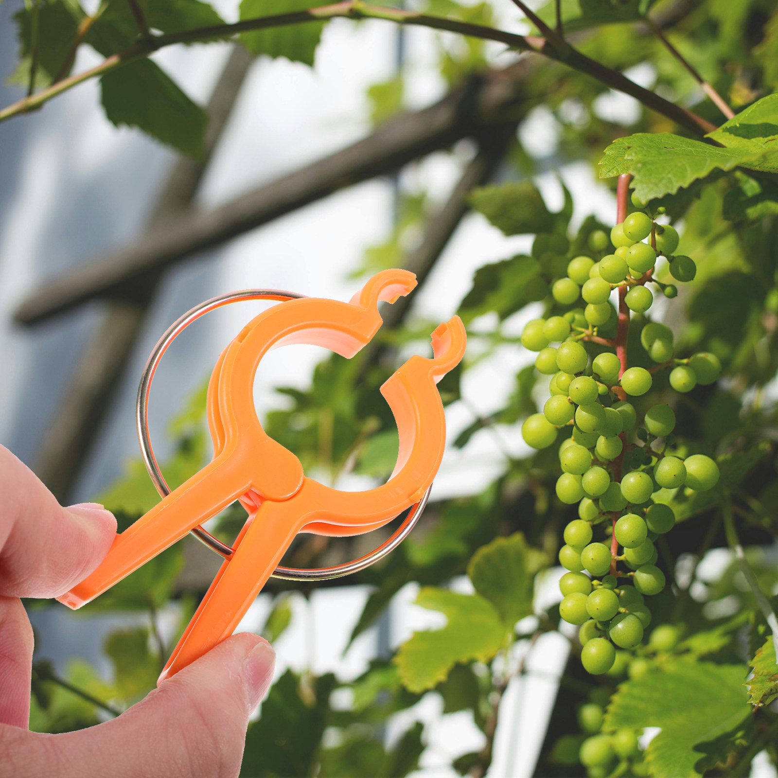 12 Adet Tırmanıcı Bitkiler içi - Vine Climbing Plastic incelemesi ve fiyatı