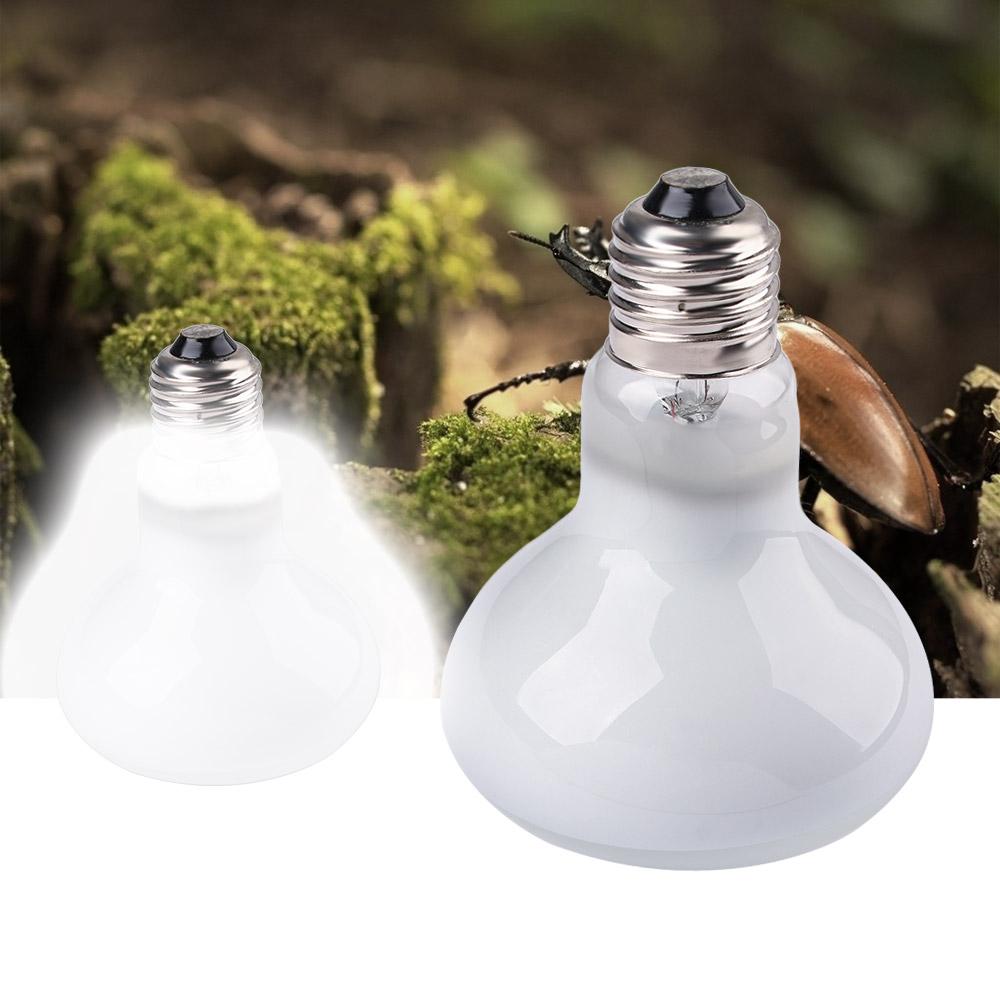 Kertenkele Sıcaklık Kontrol Ci - Basking Bulb Halogen incelemesi ve fiyatı