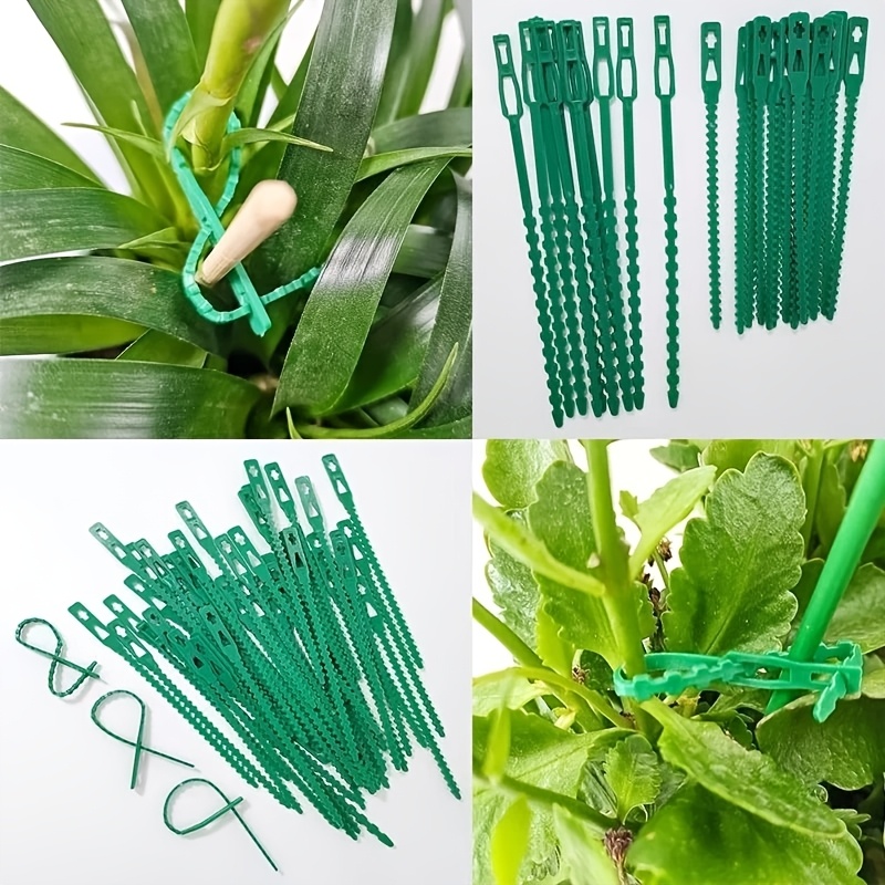 100 ADET Yeniden Kullanılabili - Vine Climbing Plastic incelemesi ve fiyatı