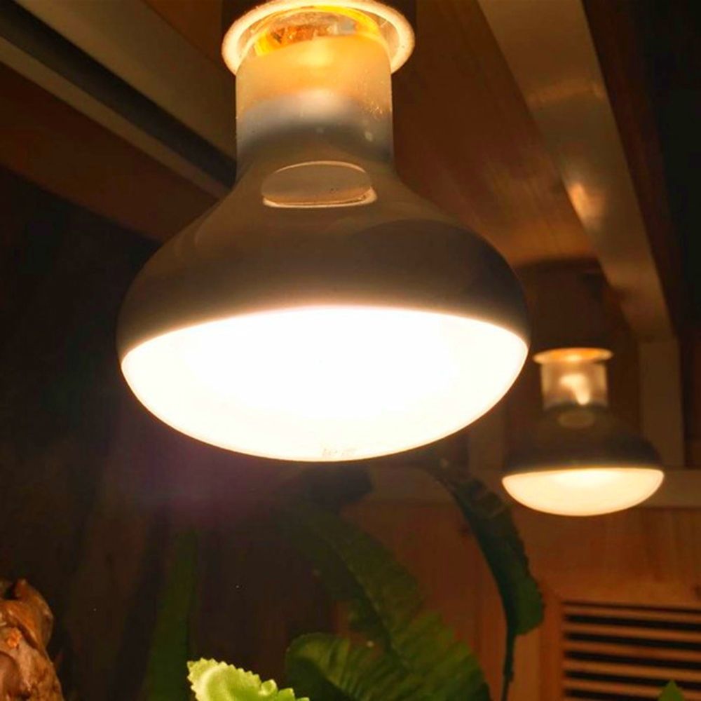 Amfibiler için Isıtıcı Isı Lam - Basking Bulb Halogen incelemesi ve fiyatı