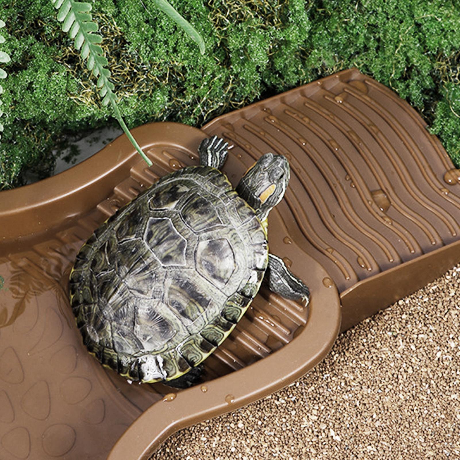 Sürüngen Banyo Havuzu Rampalı  - Water Dish Reptile incelemesi ve fiyatı