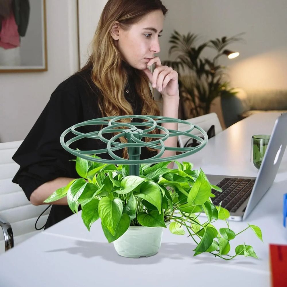 Dayanıklı S/M/L Bonsai Tırmanm - Vine Climbing Plastic incelemesi ve fiyatı