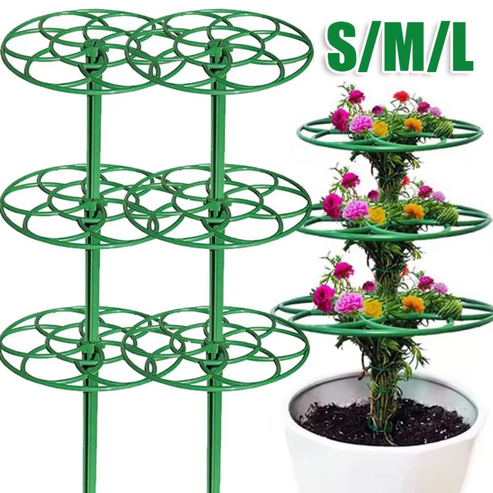 Dayanıklı S/M/L Bonsai Tırmanm - Vine Climbing Plastic incelemesi ve fiyatı