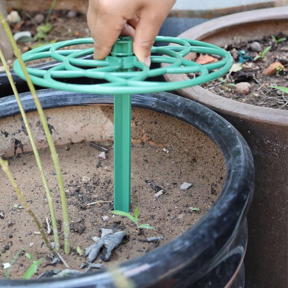 Dayanıklı S/M/L Bonsai Tırmanm - Vine Climbing Plastic incelemesi ve fiyatı