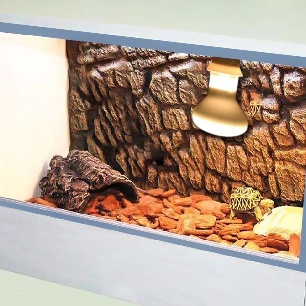Kaplumbağa Sıcaklık Kontrol Ci - Basking Bulb Halogen incelemesi ve fiyatı