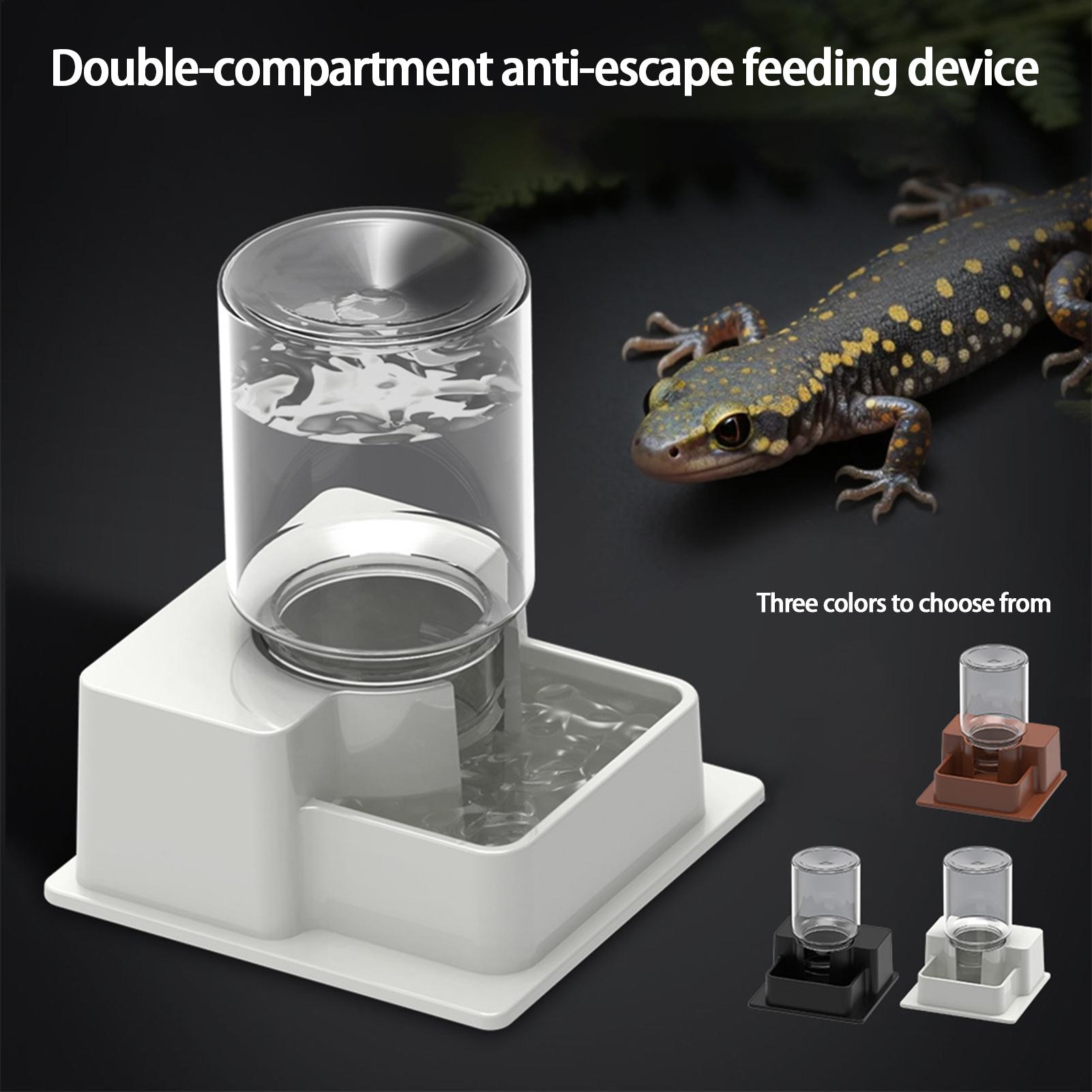 Otomatik Sürüngen Su Kabı Yeni - Water Dish Reptile incelemesi ve fiyatı