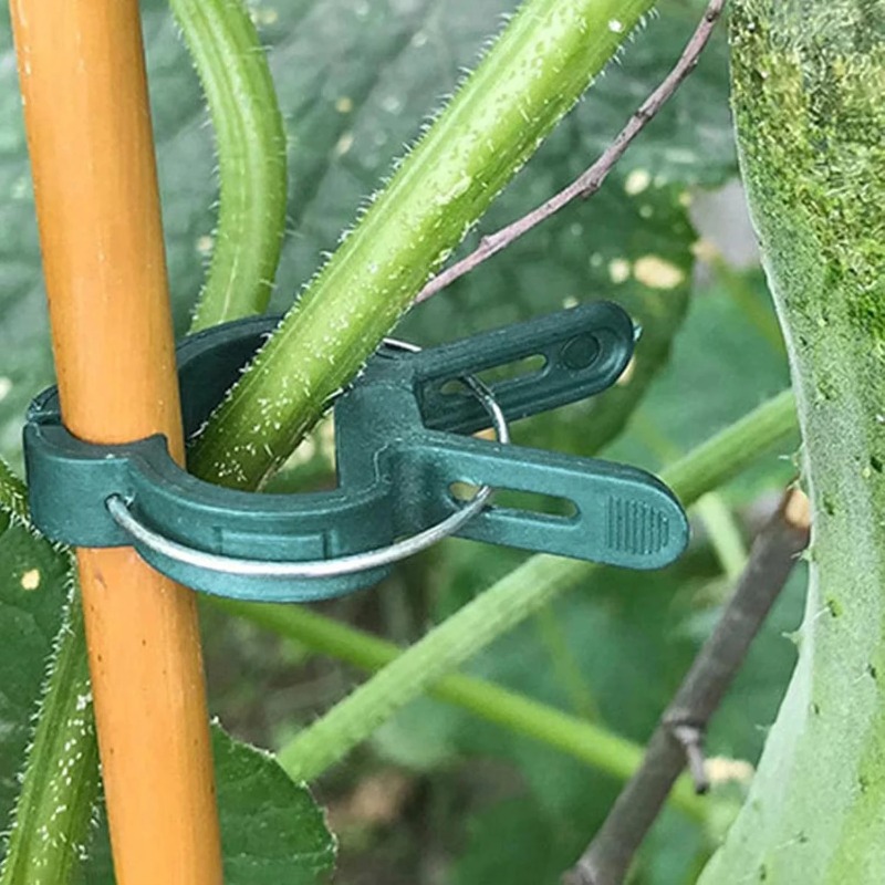 Bitki Sabitleme Klipsleri Yeni - Vine Climbing Plastic incelemesi ve fiyatı