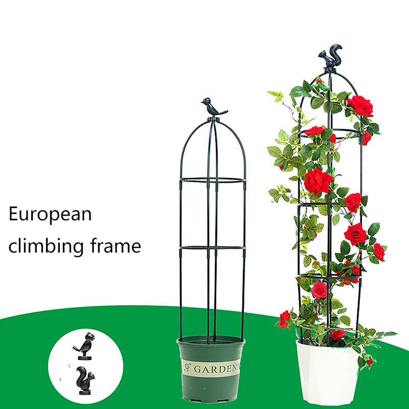 C 1 Set Tırmanıcı Bitki Çardağ - Vine Climbing Plastic incelemesi ve fiyatı