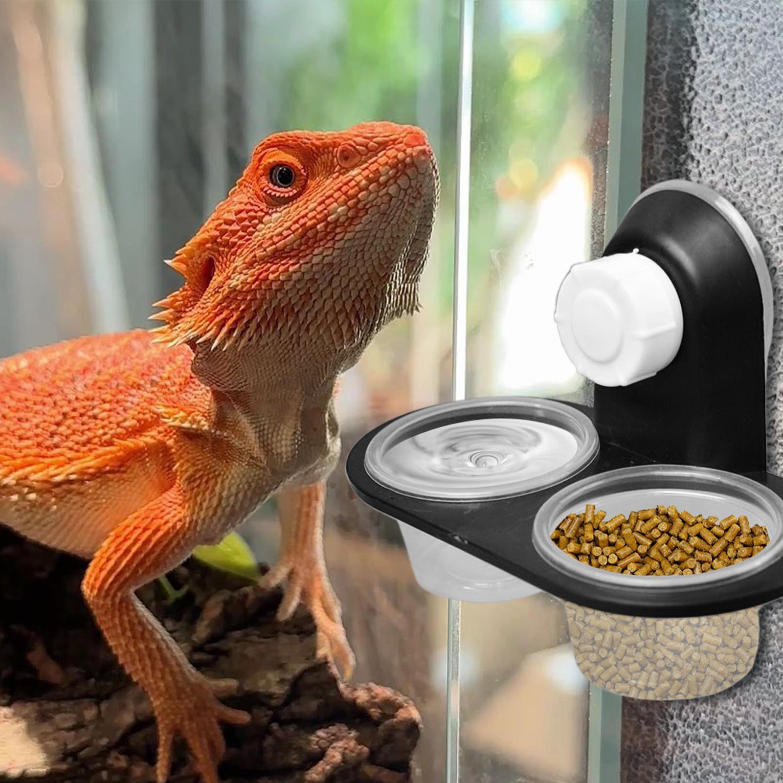 Gecko Mama Kabı Gecko Su Kabı  - Water Dish Reptile incelemesi ve fiyatı