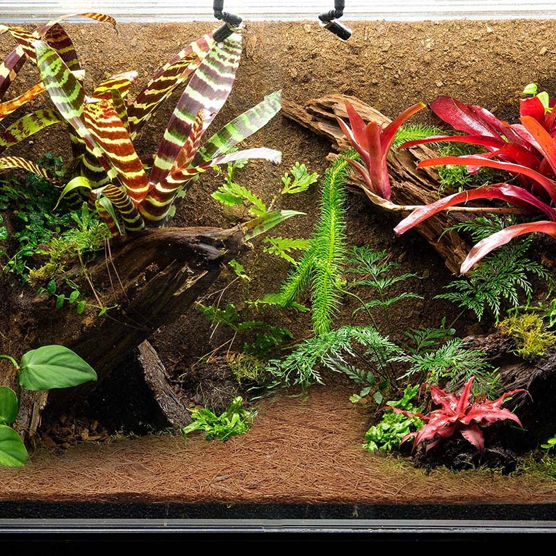 HITL Doğal Hindistan Cevizi Li - Substrate Coconut Fiber incelemesi ve fiyatı