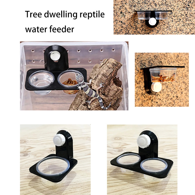 Sürüngen Tankı Aksesuarları Bö - Water Dish Reptile incelemesi ve fiyatı