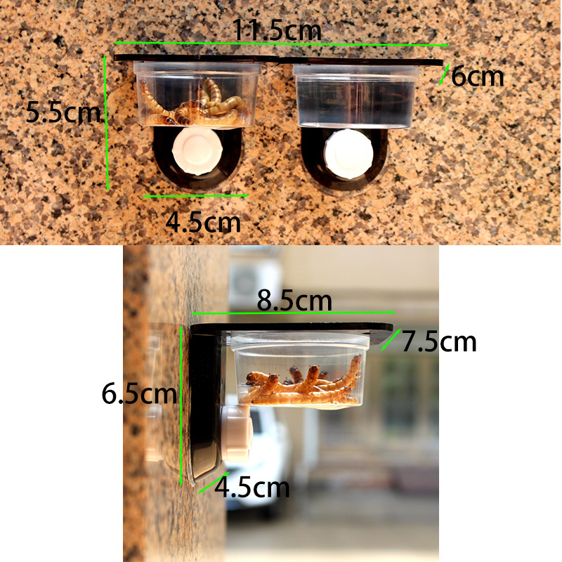 Sürüngen Tankı Aksesuarları Bö - Water Dish Reptile incelemesi ve fiyatı