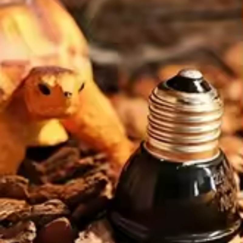 Sürüngen Seramik Isı Verici Mi - Ceramic Heat Emitter incelemesi ve fiyatı