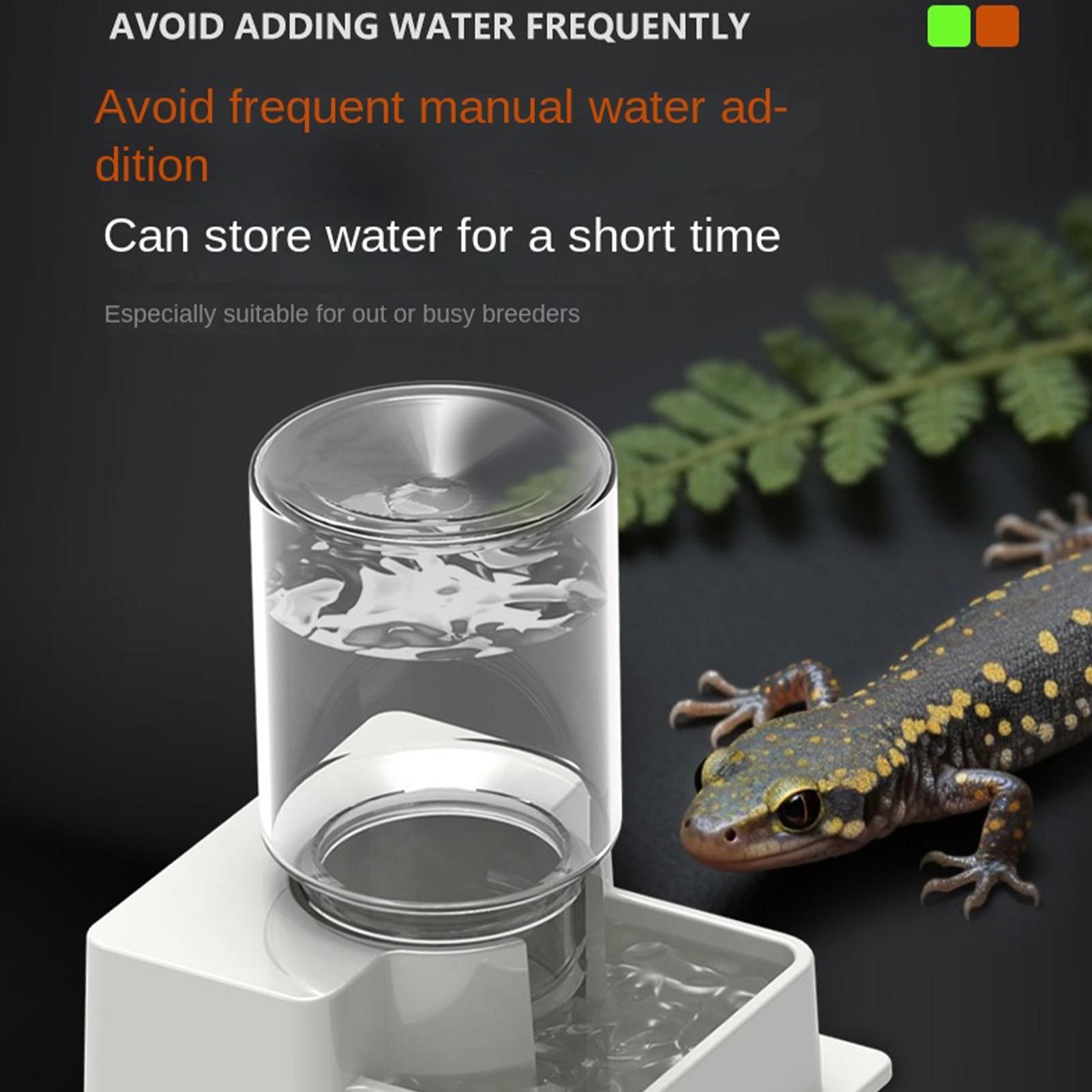 Sakallı Ejder Su Pınarı Otomat - Water Dish Reptile incelemesi ve fiyatı