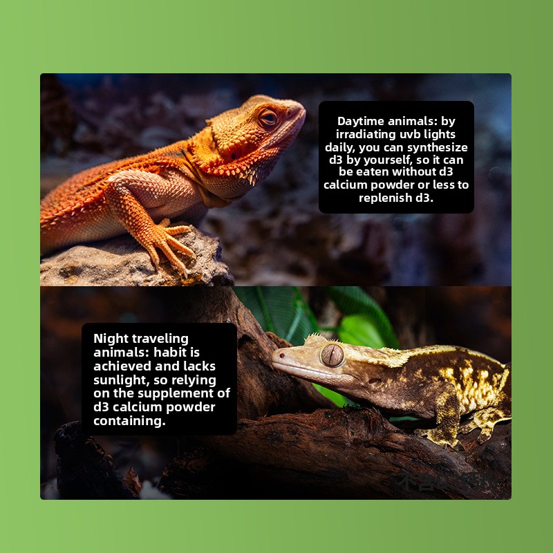 Reptizoo Sürüngen Kalsiyum Toz - Vitamin D3 Reptile incelemesi ve fiyatı
