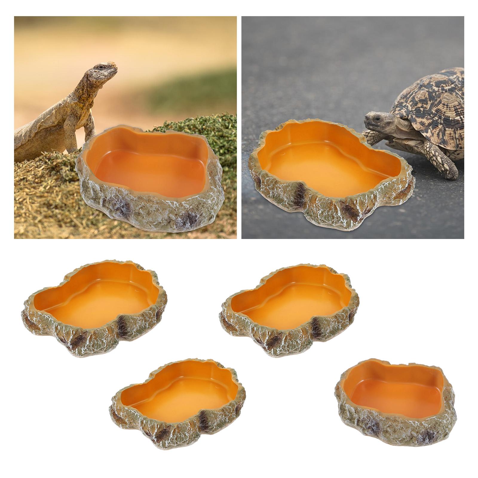Sürüngen su kaseleri Dekoratif - Water Dish Reptile incelemesi ve fiyatı