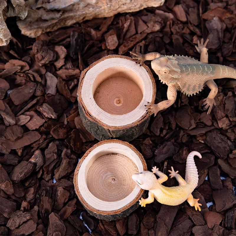 Kaplumbağa Su Tabağı Sürüngen  - Water Dish Reptile incelemesi ve fiyatı