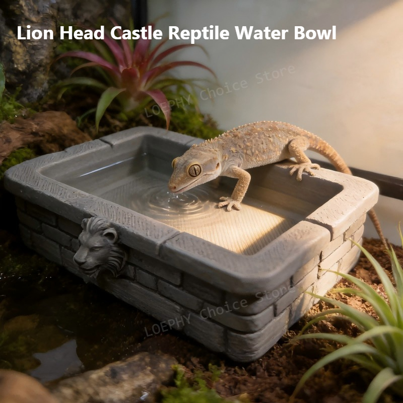 Kale Reptil Su Kabı Aslan Başı - Water Dish Reptile incelemesi ve fiyatı