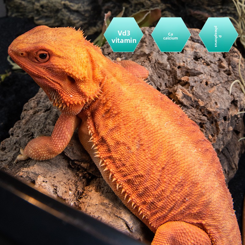 Kaplumbağa/Bartalı Ejderha/Des - Vitamin D3 Reptile incelemesi ve fiyatı