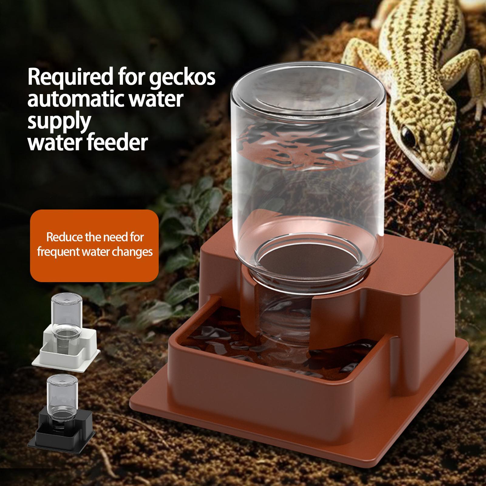 1 adet Otomatik Sürüngen Besle - Water Dish Reptile incelemesi ve fiyatı