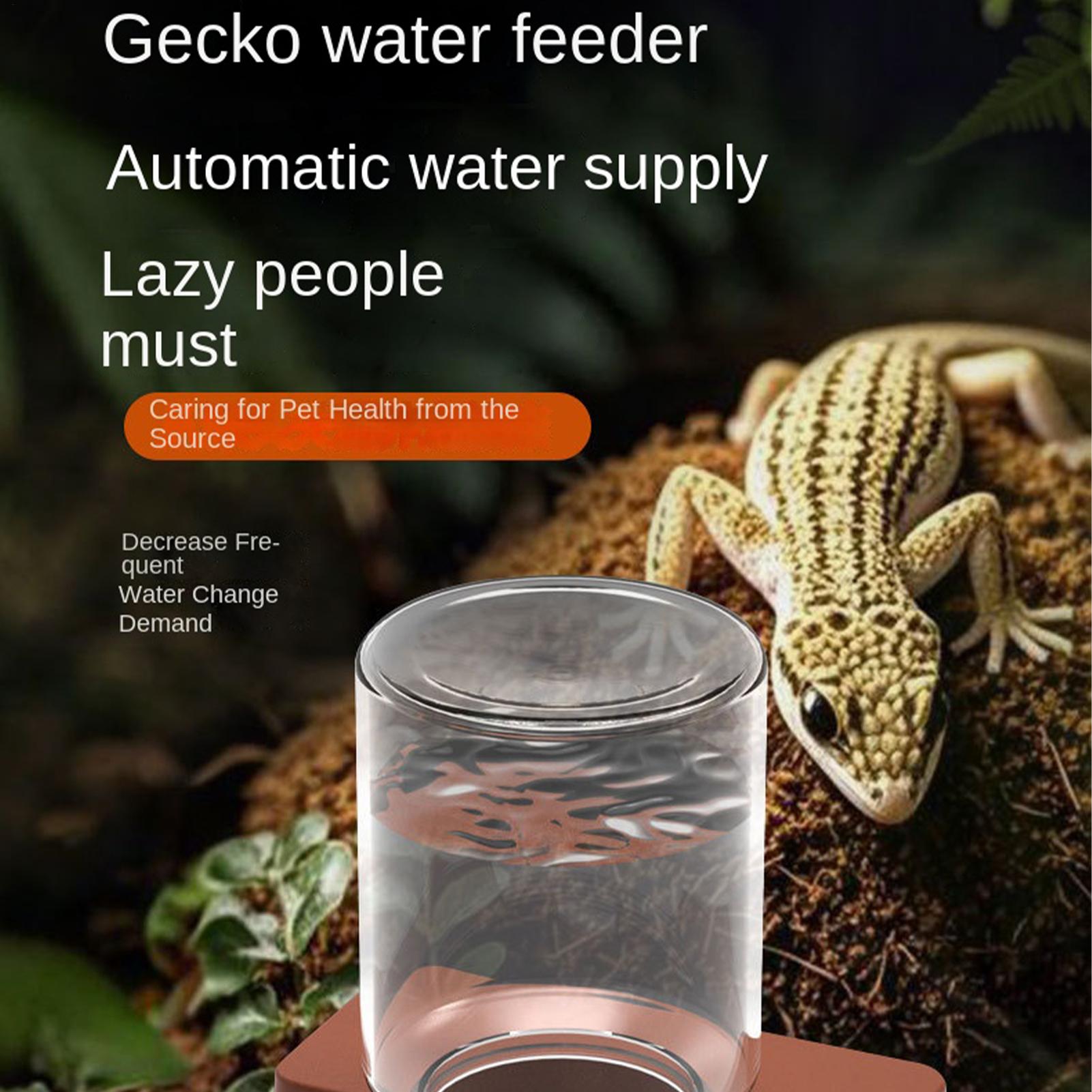 1 adet Otomatik Sürüngen Besle - Water Dish Reptile incelemesi ve fiyatı