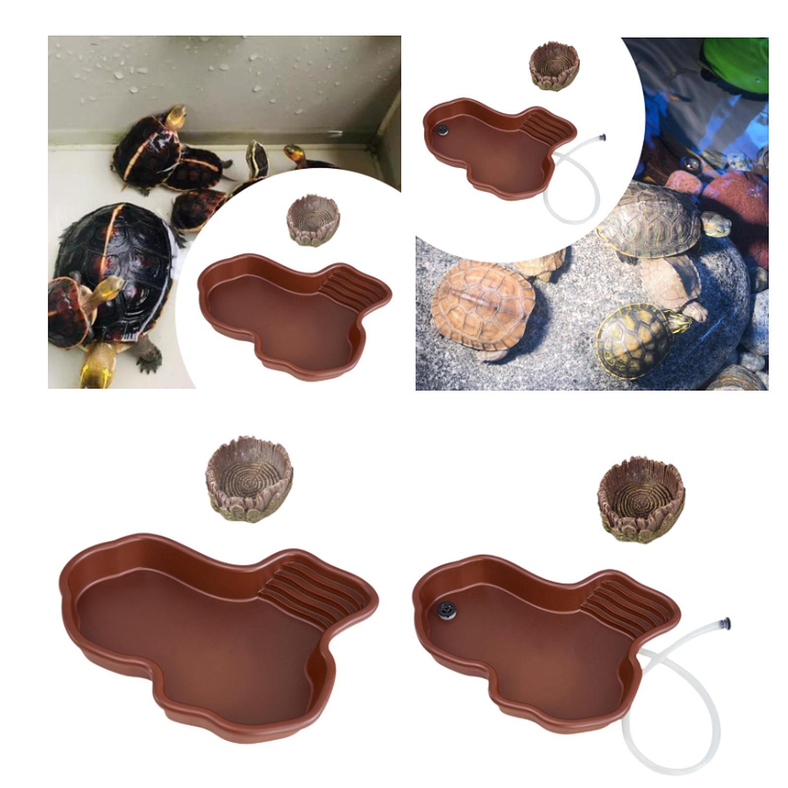 Sürüngen besleme kabı sürüngen - Water Dish Reptile incelemesi ve fiyatı